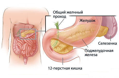 Симптомы хронического панкреатита